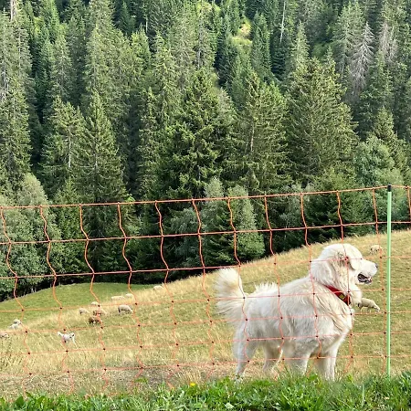 Casa Ucliva - Charming Alpine Getaway In The Heart Of The Swiss Alps Lägenhet