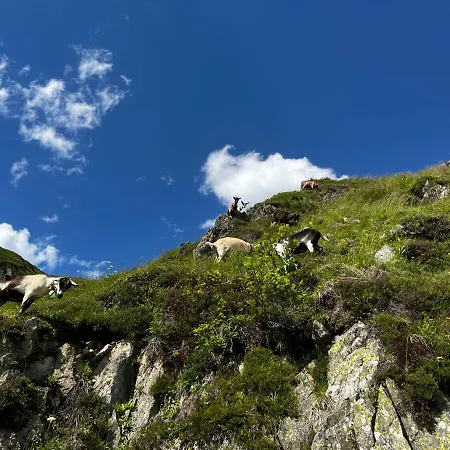 Casa Ucliva - Charming Alpine Getaway In The Heart Of The Swiss Alps * Rueras