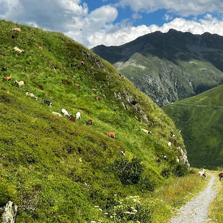 Casa Ucliva - Charming Alpine Getaway In The Heart Of The Swiss Alps Rueras