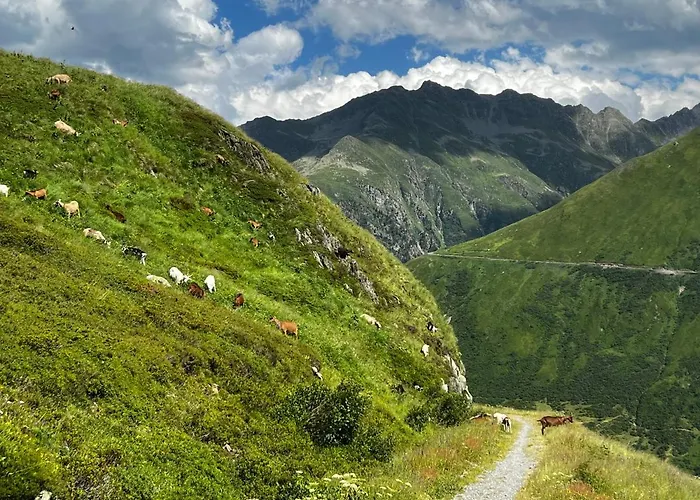 Casa Ucliva - Charming Alpine Getaway In The Heart Of The Swiss Alps Apartmán Rueras