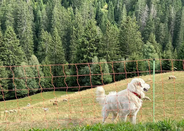Casa Ucliva - Charming Alpine Getaway In The Heart Of The Swiss Alps Apartmán