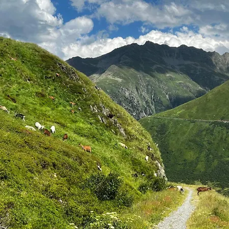 Casa Ucliva - Charming Alpine Getaway In The Heart Of The Swiss Alps Lejlighed Rueras