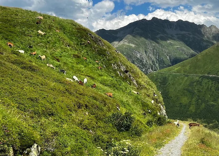 Casa Ucliva - Charming Alpine Getaway In The Heart Of The Swiss Alps Rueras