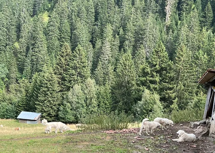 Casa Ucliva - Charming Alpine Getaway In The Heart Of The Swiss Alps * Rueras